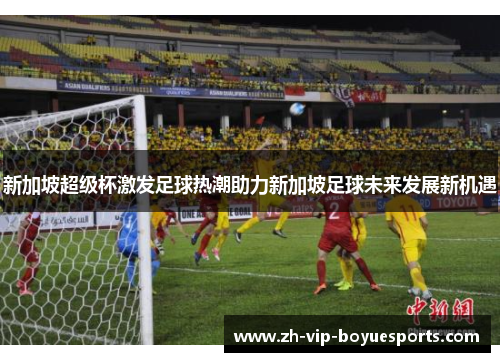 新加坡超级杯激发足球热潮助力新加坡足球未来发展新机遇
