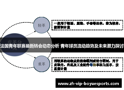 法国青年联赛最新转会动态分析 青年球员流动趋势及未来潜力探讨