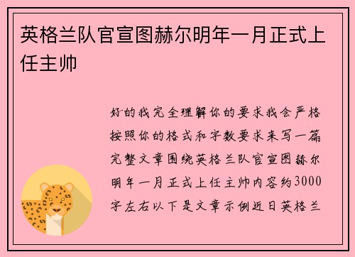 英格兰队官宣图赫尔明年一月正式上任主帅