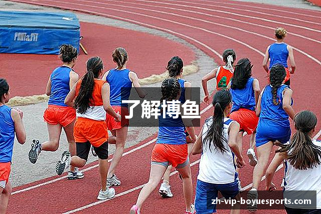 了解博鱼